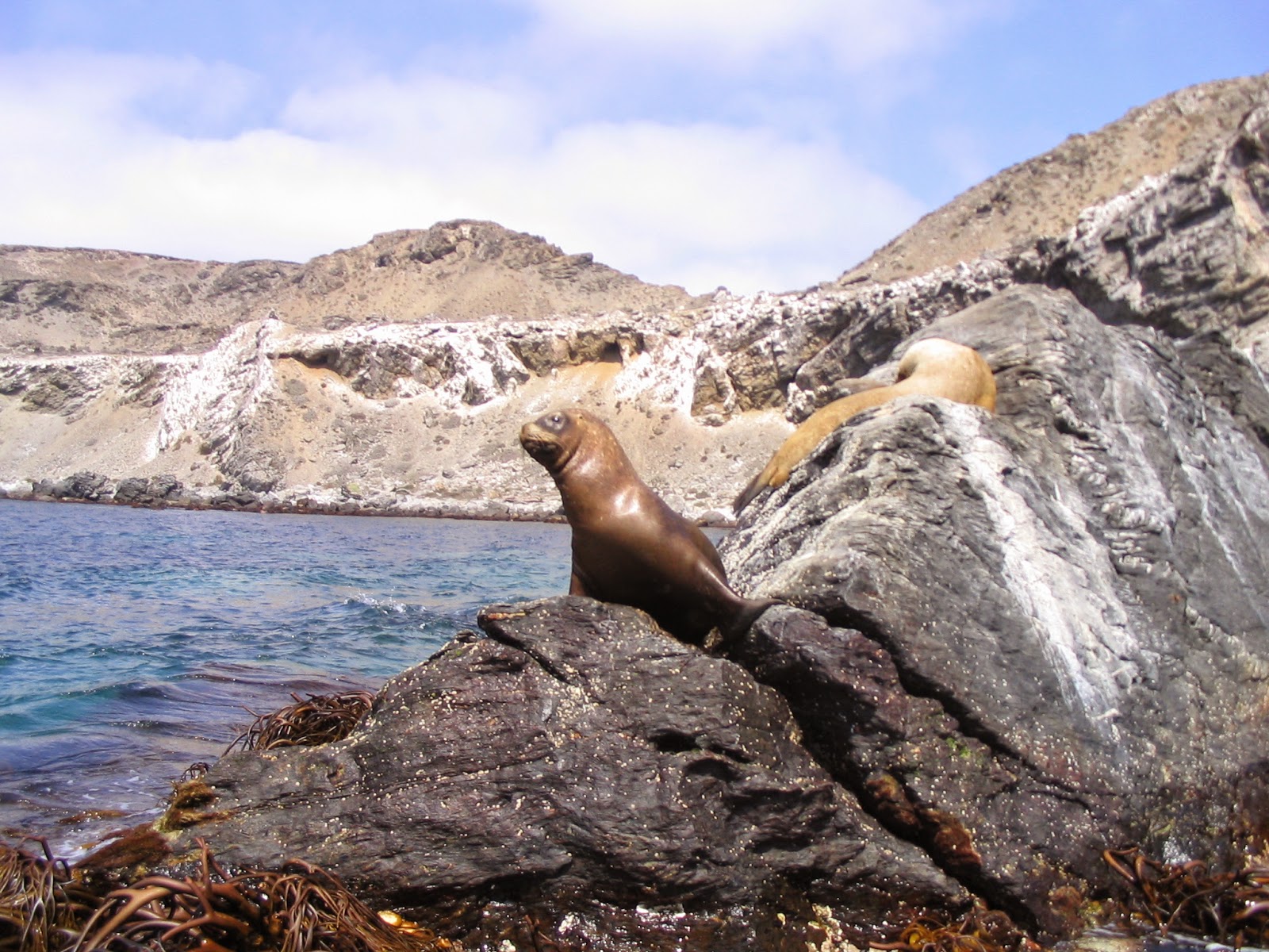 Chile país hermoso. Punta de Choros.