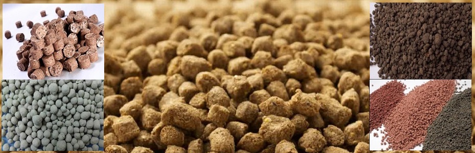 Pellet Mill Kujatama Zeo Indonesian Natural Zeolite