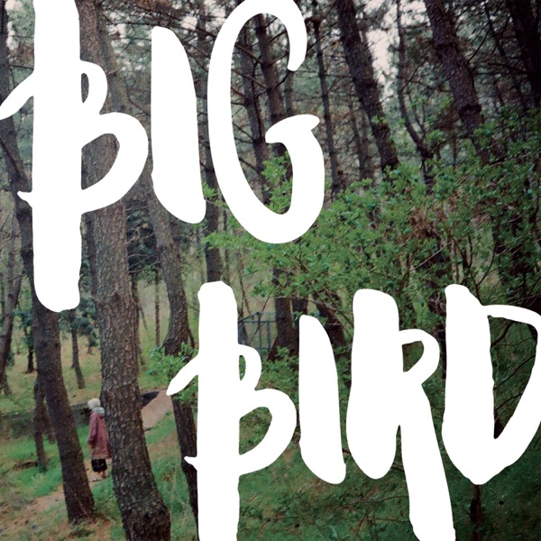 Darin – Big Bird – Single