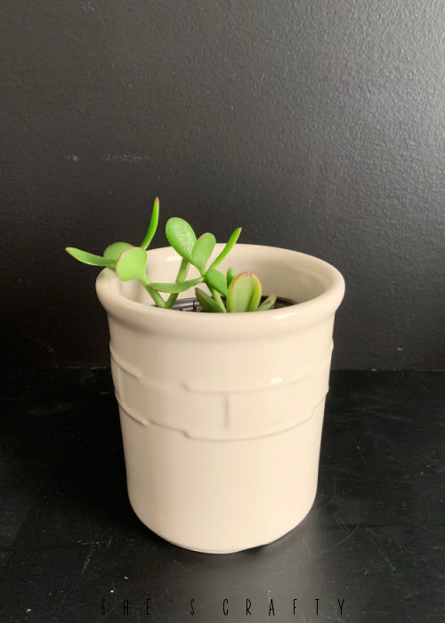 Ceramic crock holding house plants.