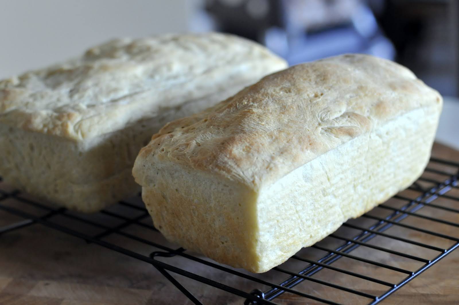 Homemade Potato Bread