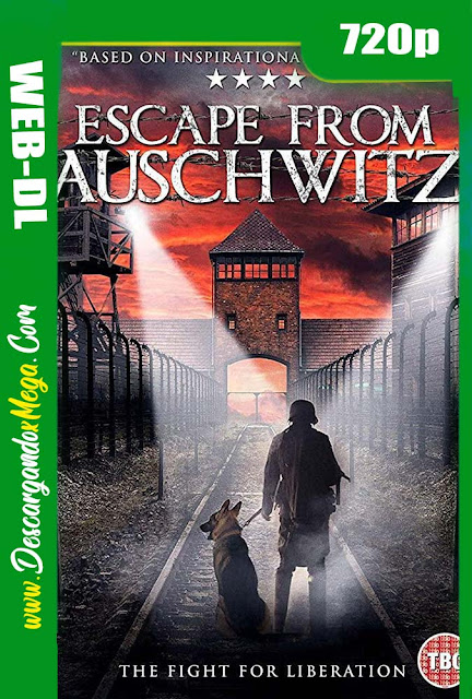 Escape de Auschwitz (2020) HD [720p] Latino-Ingles