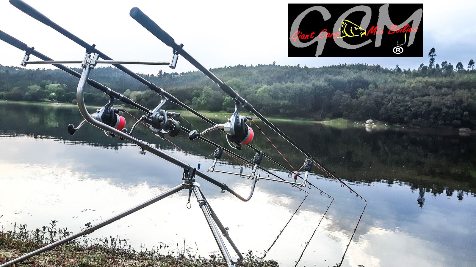 GCM GIANT CARP MIX Carpas gigantes Portugal