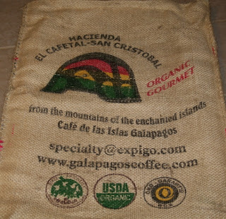Coffee Grows on San Cristobal Islands Coffee Plantation in the Galapagos Islands