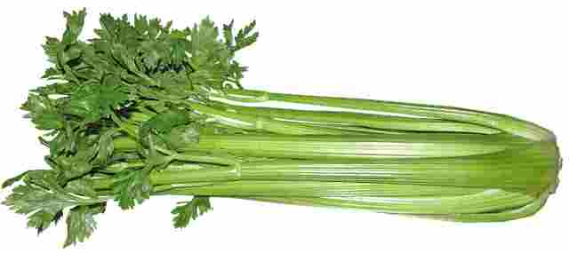 Celery | vegetables name in hindi and english