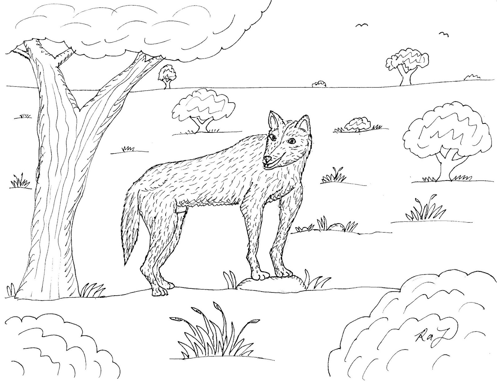 Download Robin's Great Coloring Pages