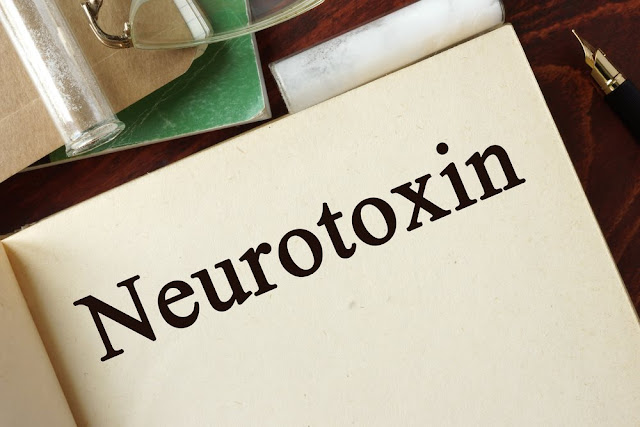 brain, memory, thinking, neurotoxins
