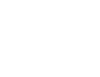 The Carwins