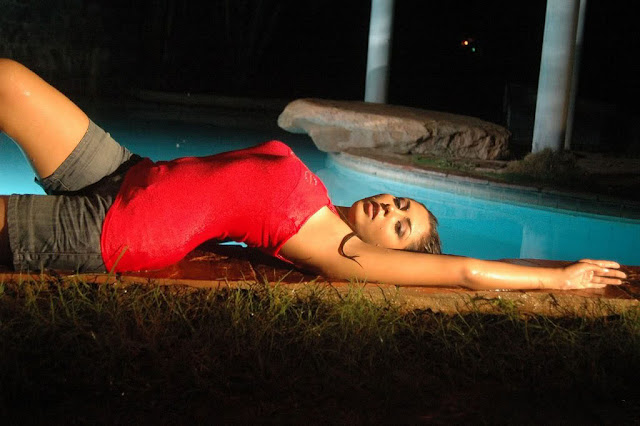 Actress Madhu Shalini Latest Hot Pics In Red Bikini 40