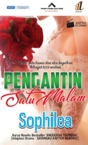 Novel Pengantin Satu Malam. Penulis Sophilea