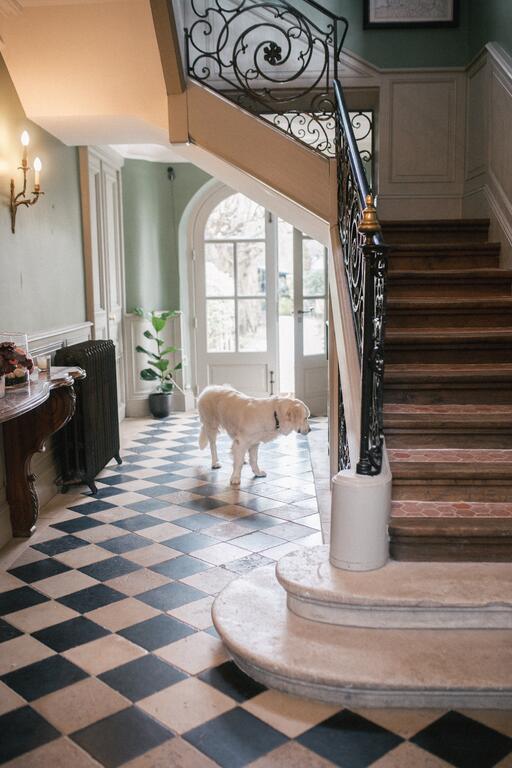 ������� �������� ����� 252487590.jpg