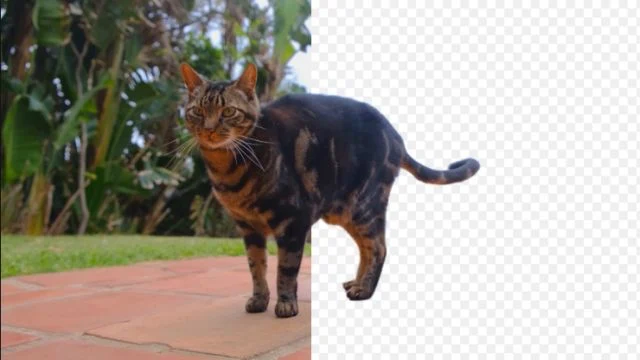 how to remove background in capcut