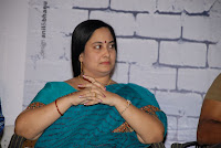 Its My Love Story Movie Audio Launch