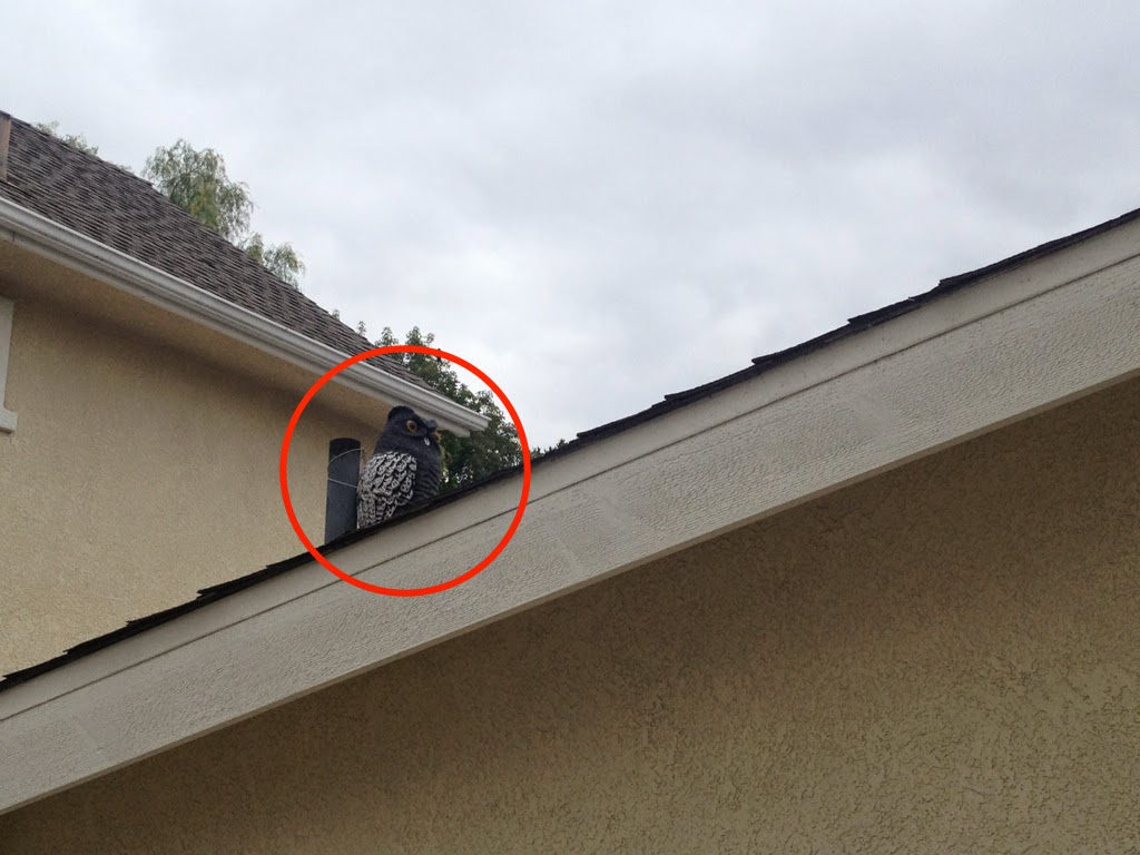 Divisible by 3 [Andrew Stadel] Roofs Are Expensive!