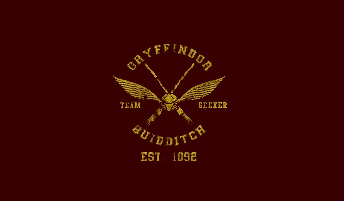 ϟ Gryffindor Quidditch