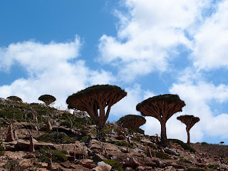 Άρση της απαγόρευσης του ''UNKNOWN LAND'' του Μάνουελ ντε Κόκο  