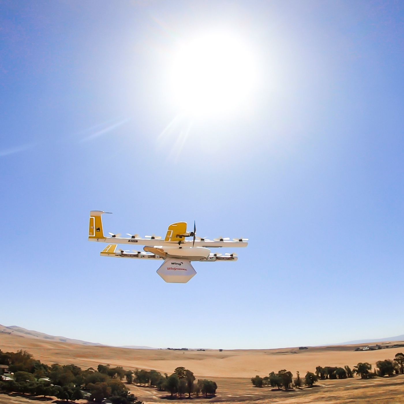 Nick S Cruise Corner