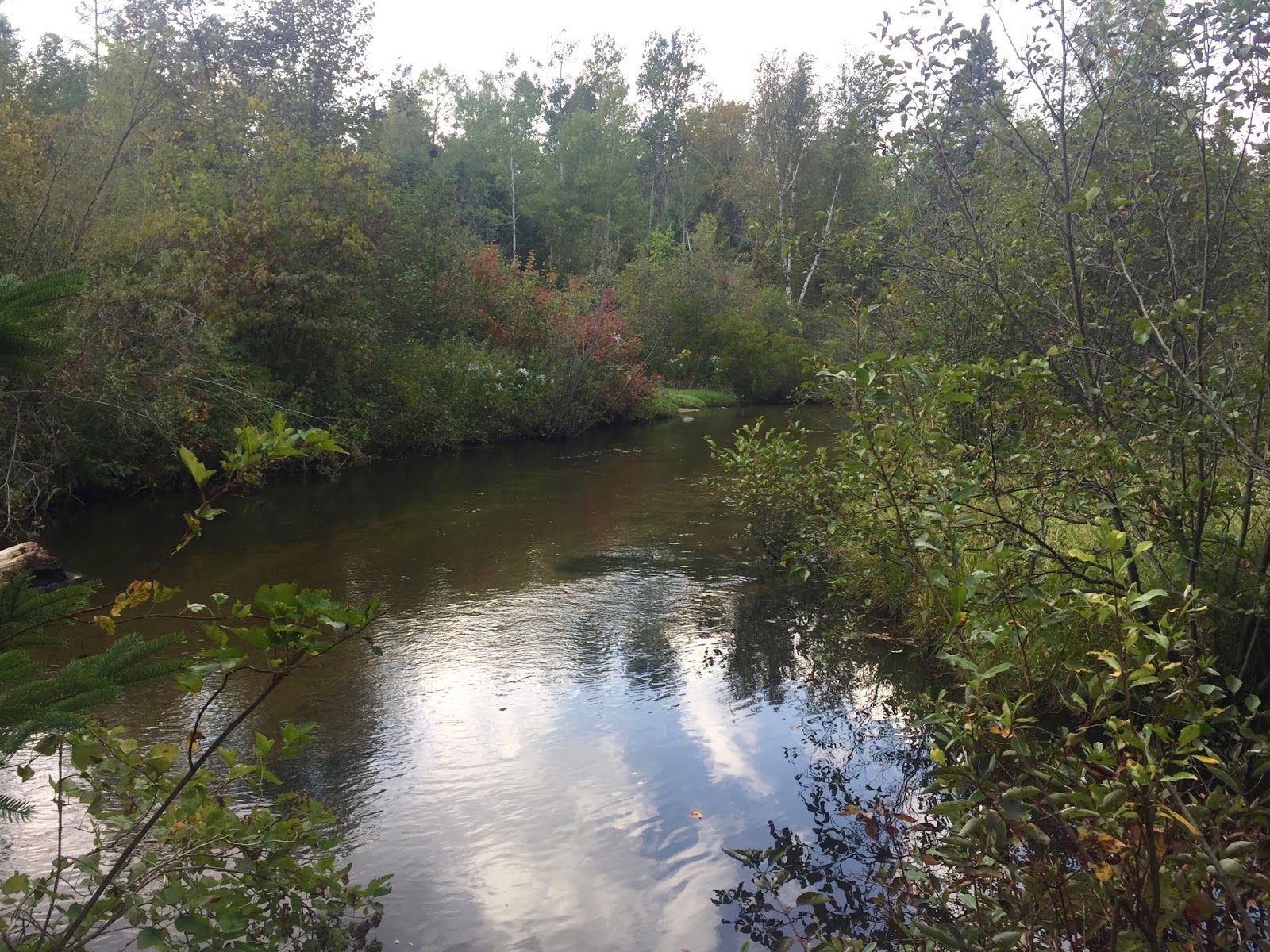 Travel Reviews & Information Northeast Lower Michigan Rifle River