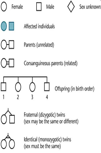 Pedigree analysis basic symbols