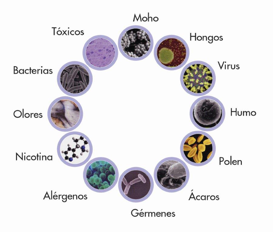 microorganismos 3