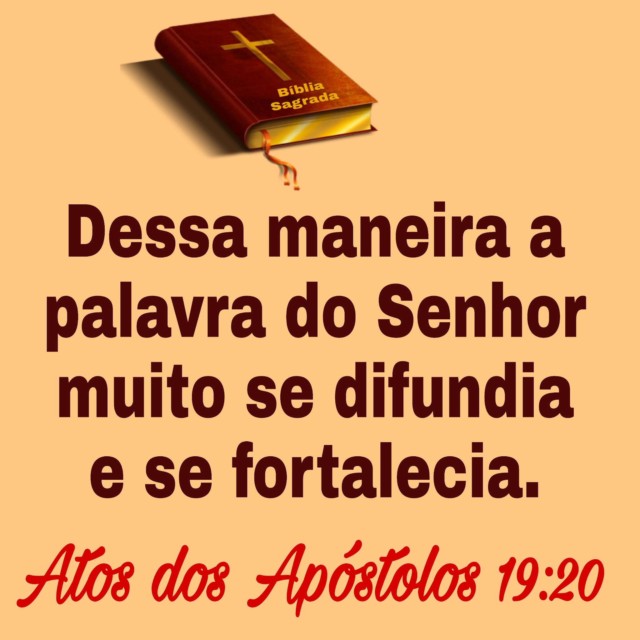 Palavra e Ação Evangelismo Grandes cidades