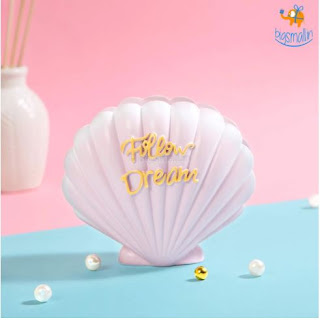 A Handful of Shells & A Headful of Dreams! - bigsmall.in