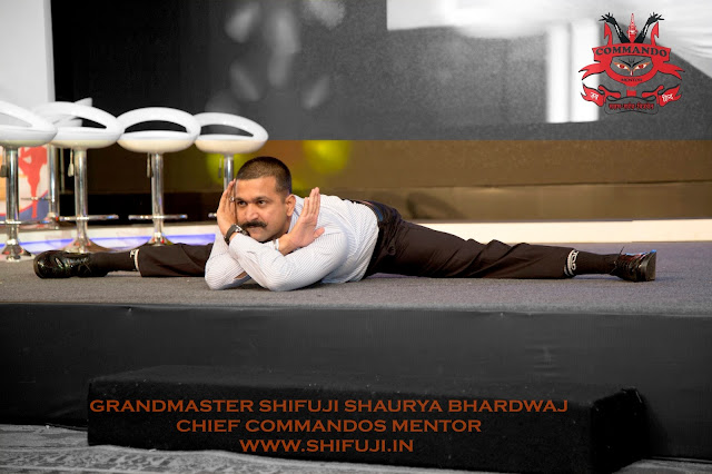 Grandmaster Shifuji Commando Trainer