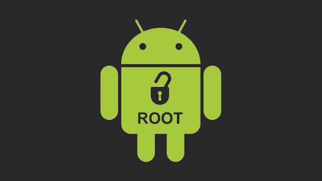 root görseli