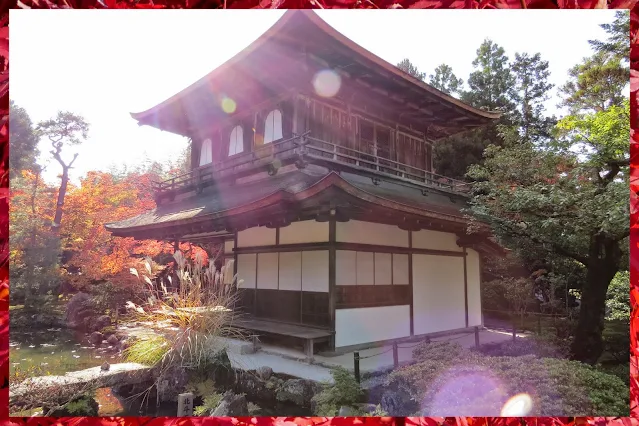 Things to do in Kyoto in Autumn: Temple in the Sun