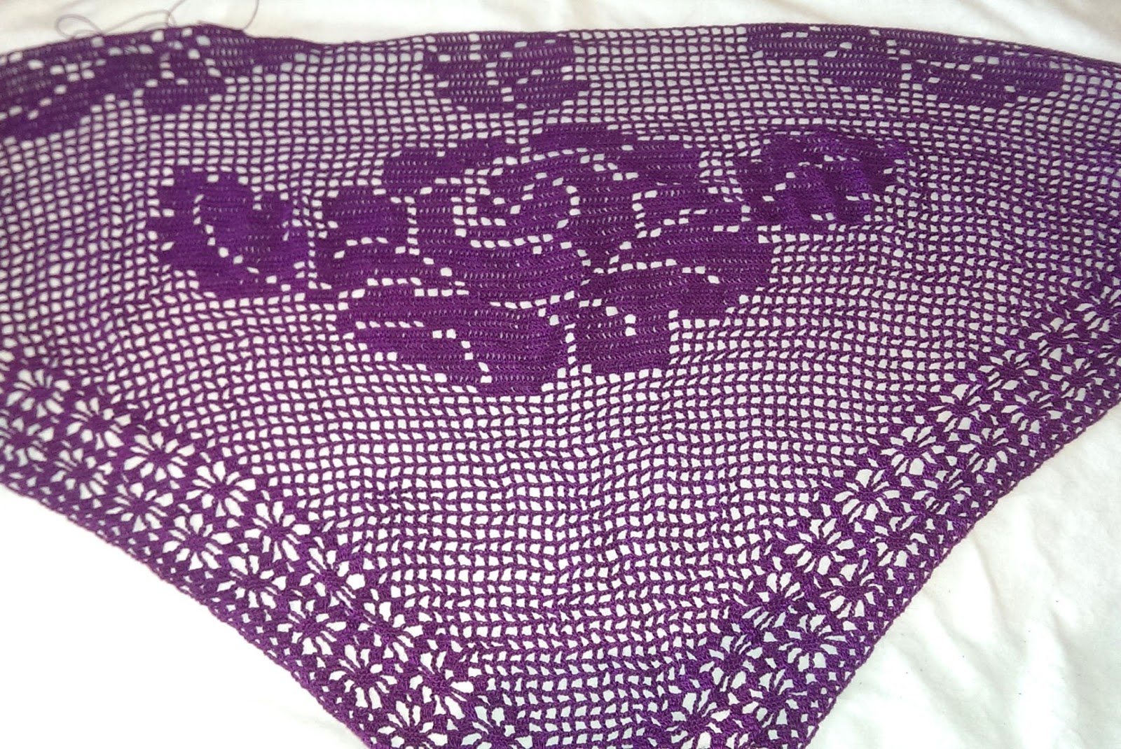 Catherine's Knitpix FIlet Crochet Shawl