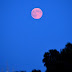 Κόκκινη πανσέληνος απόψε!Το φεγγάρι της φράουλας ή του μελιού!