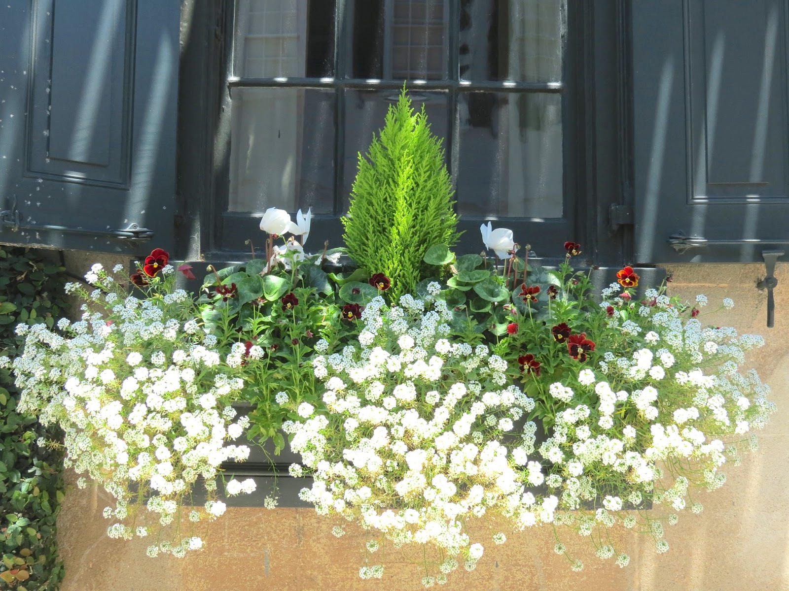 JLL DESIGN Window Box Ideas & More Garden Inspirations
