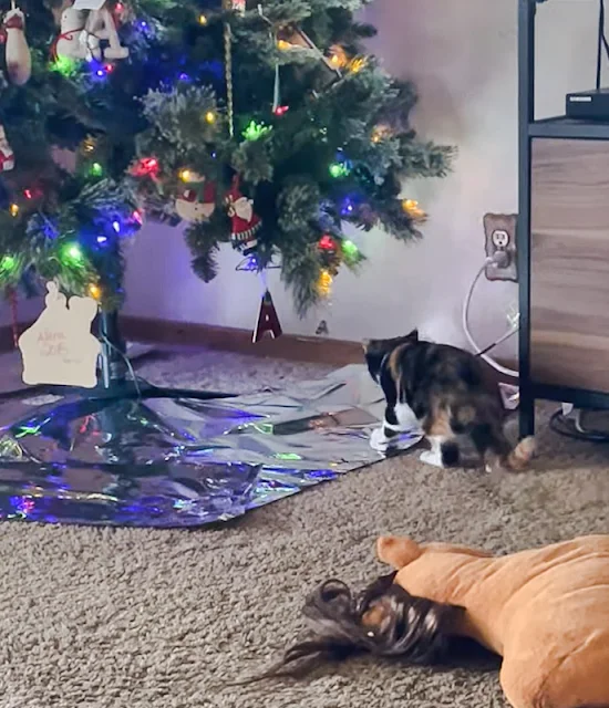 Clever tin foil hack helps keep cats away from Christmas trees