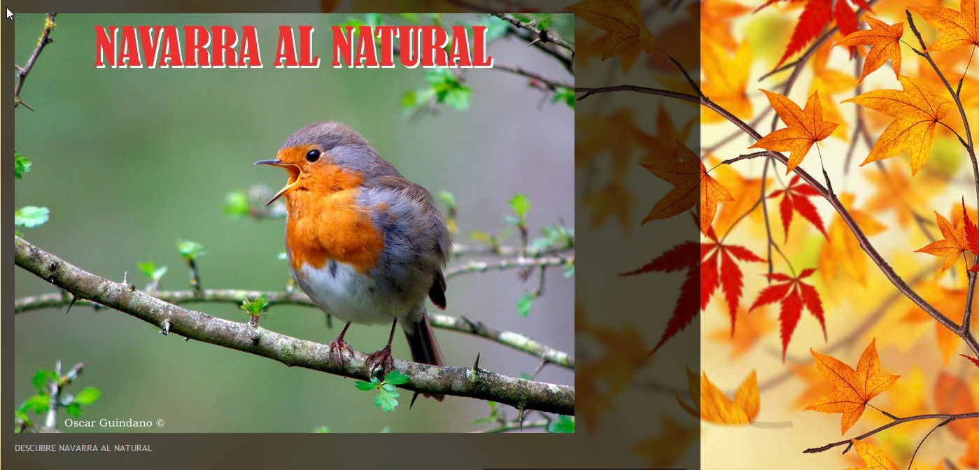 Navarra Natural