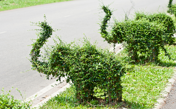 The Next Big Thing in Landscape Design