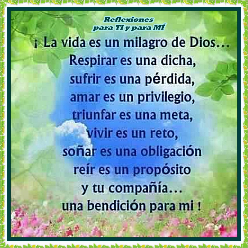 Reflexiones Para Ti Y Para MÍ La Vida Es Un Milagro De Dios