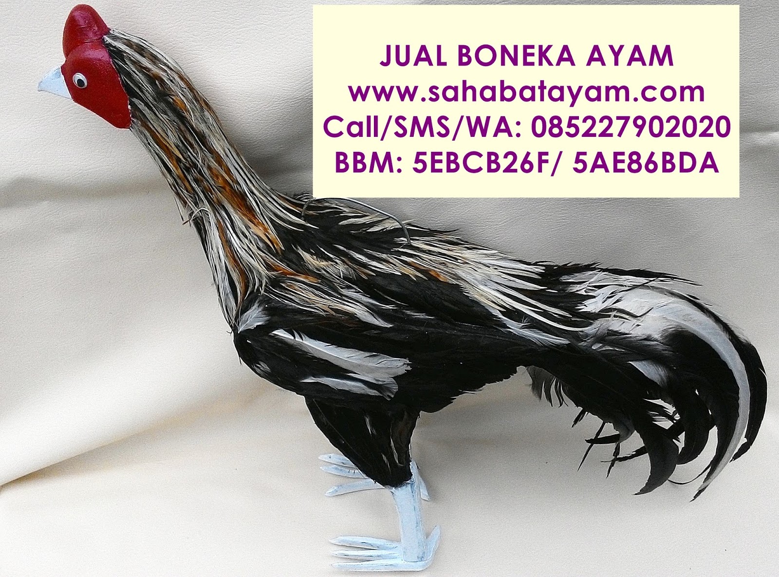 Boneka Ayam Aduan Untuk Latihan Ayam Laga Latihan Ayam Laga