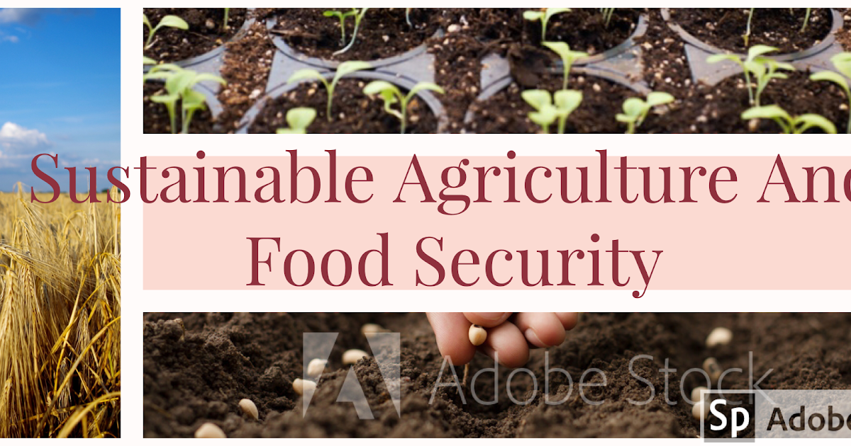 Sustainable Agriculture And Food Security