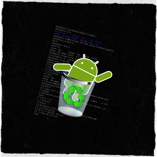 APP ANDROID