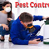 Reasons to Call Professional Pest Control Services
