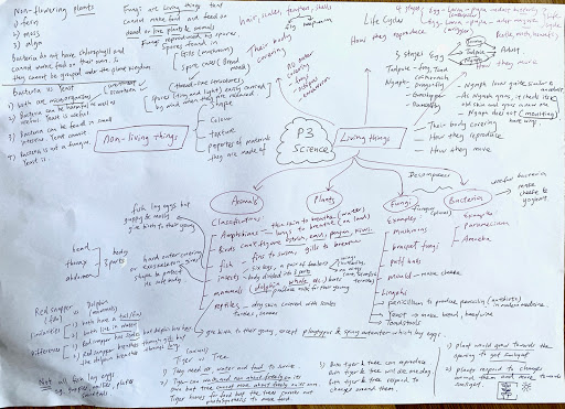 Primary 3 Science (Chapter 1 to 5 )