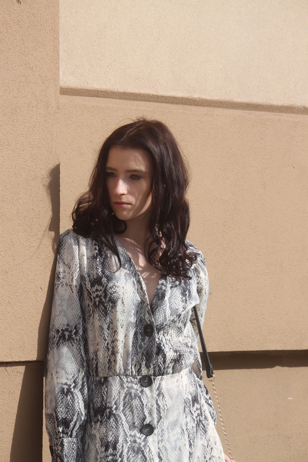 The Snake Print Dress