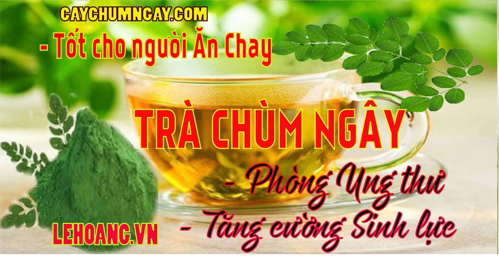 c%25C3%25A2y%2Bch%25C3%25B9m%2Bng%25C3%25A2y%2B%2528800%2529.jpg c%25C3%25A2y%2Bch%25C3%25B9m%2Bng%25C3%25A2y%2B%2528800%2529.jpg