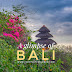 A glimpse of Bali