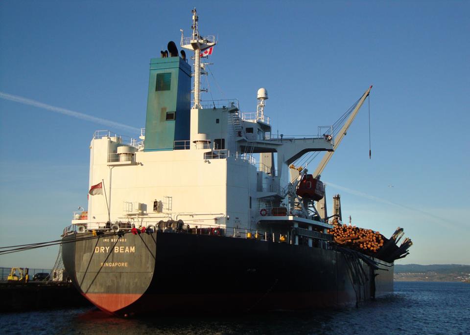 Vancouver Island Big Trees The Dry Beam Bulk Log Carriers and Whole