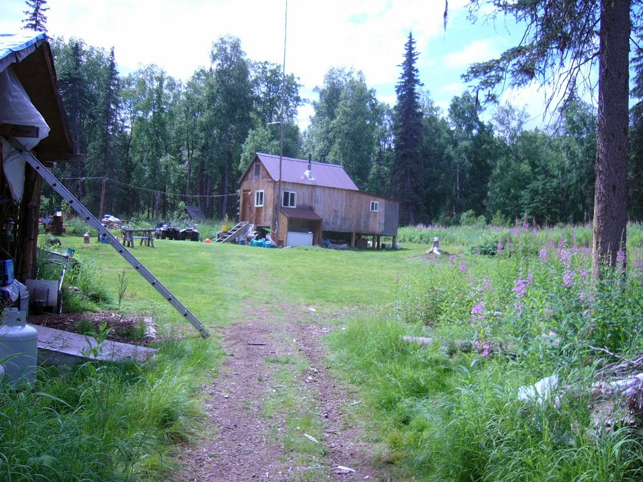 An Alaskan Garden