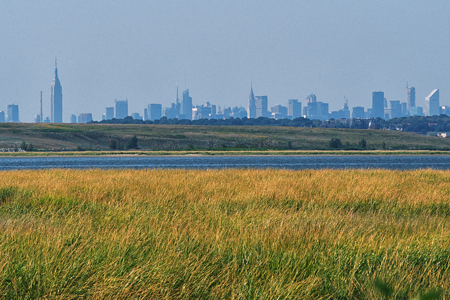 Nature on the Edge of New York City: Listen to Life After Sandy: Jamaica Bay