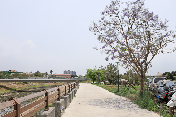 台中大里旱溪排水水利園區(藍花楹公園)水岸步道、雲彩橋散步好去處