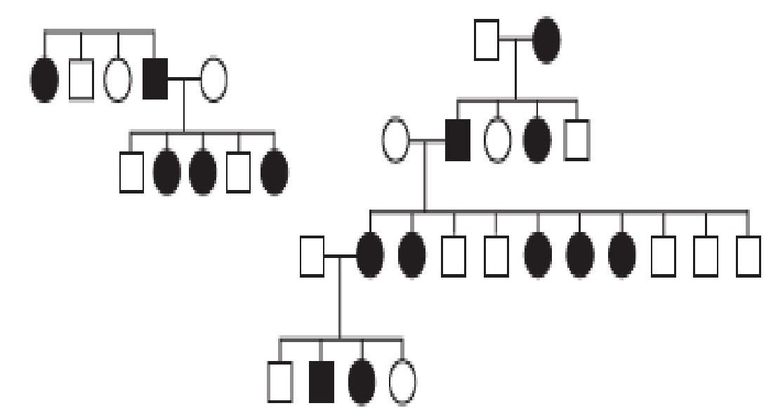ENEM: Hereditariedade e Diversidade