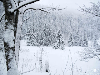 My Travel Background : Les trésors de la Lorraine (je vous emmène en Lorraine) - Vosges